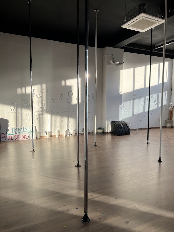 La sala dispone di una zona pali con 11 pali: 9 alti 4,60m e 2 alti 4,20m La sala dispone di una zona pali con 11 pali: 9 alti 4,60m e 2 alti 4,20m